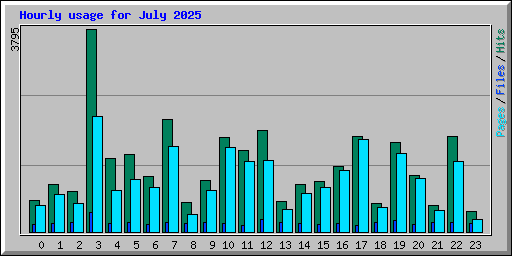 Hourly usage for July 2025