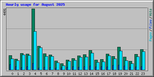 Hourly usage for August 2025