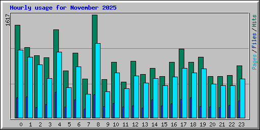 Hourly usage for November 2025