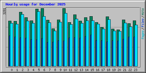 Hourly usage for December 2025