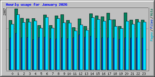 Hourly usage for January 2026