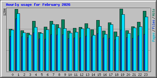 Hourly usage for February 2026