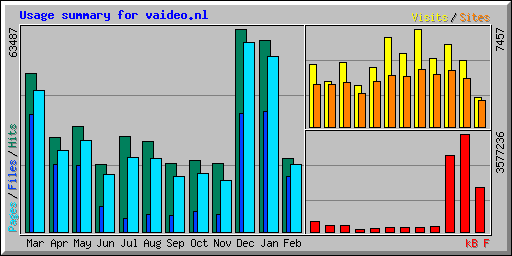 Usage summary for vaideo.nl